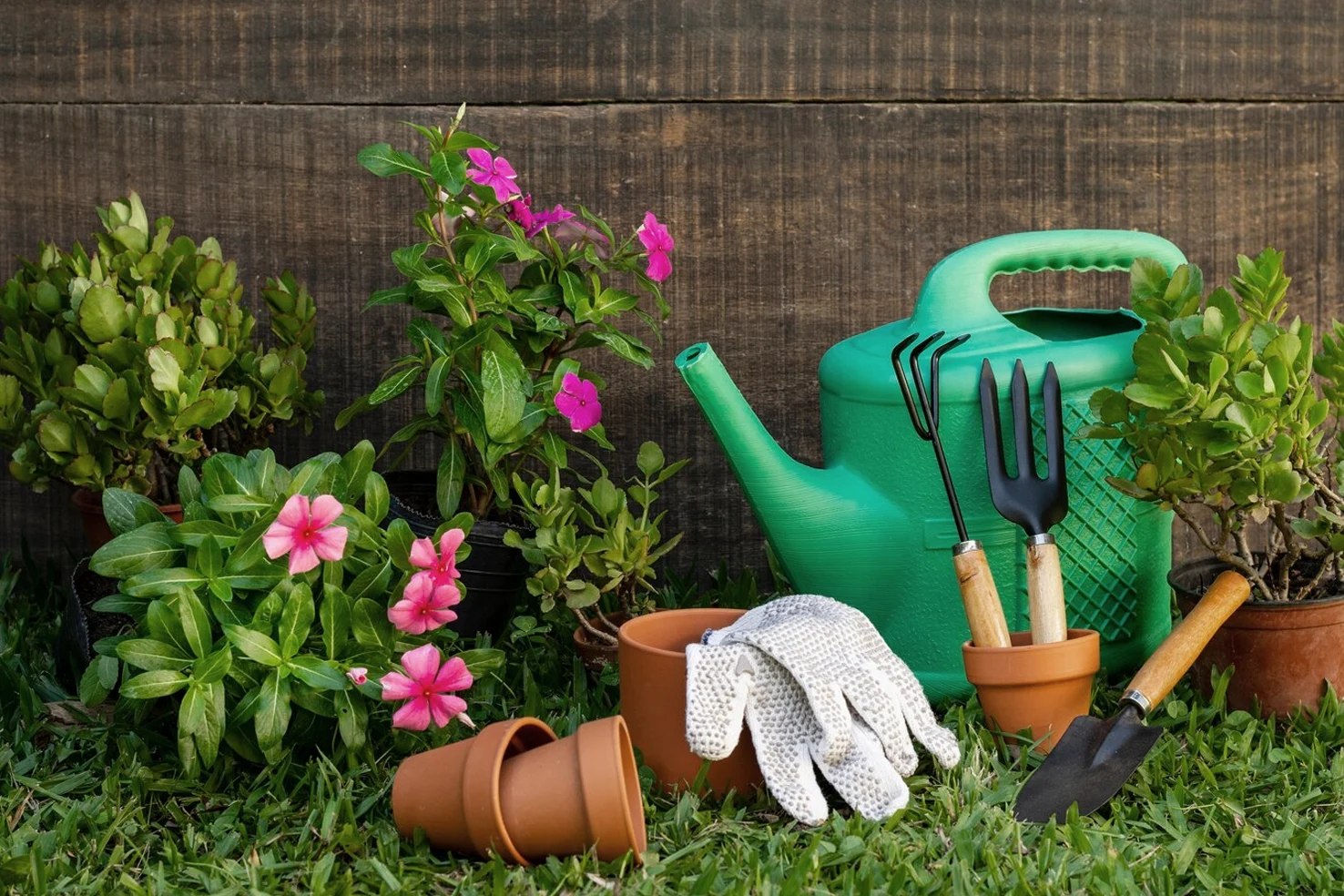 kit-herramientas-jardineria